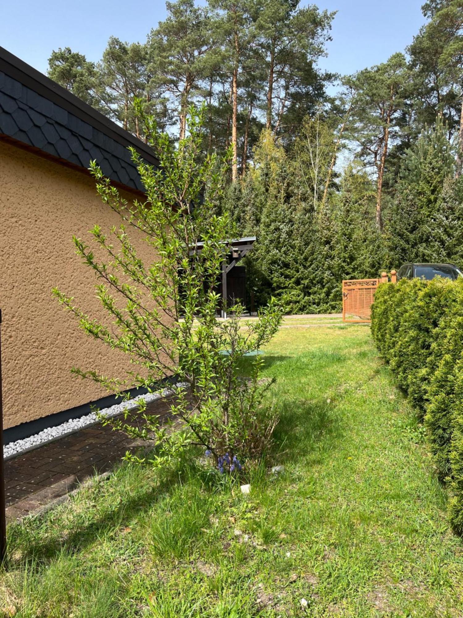 Ferienhaus Fjola Schenkendobern Zewnętrze zdjęcie