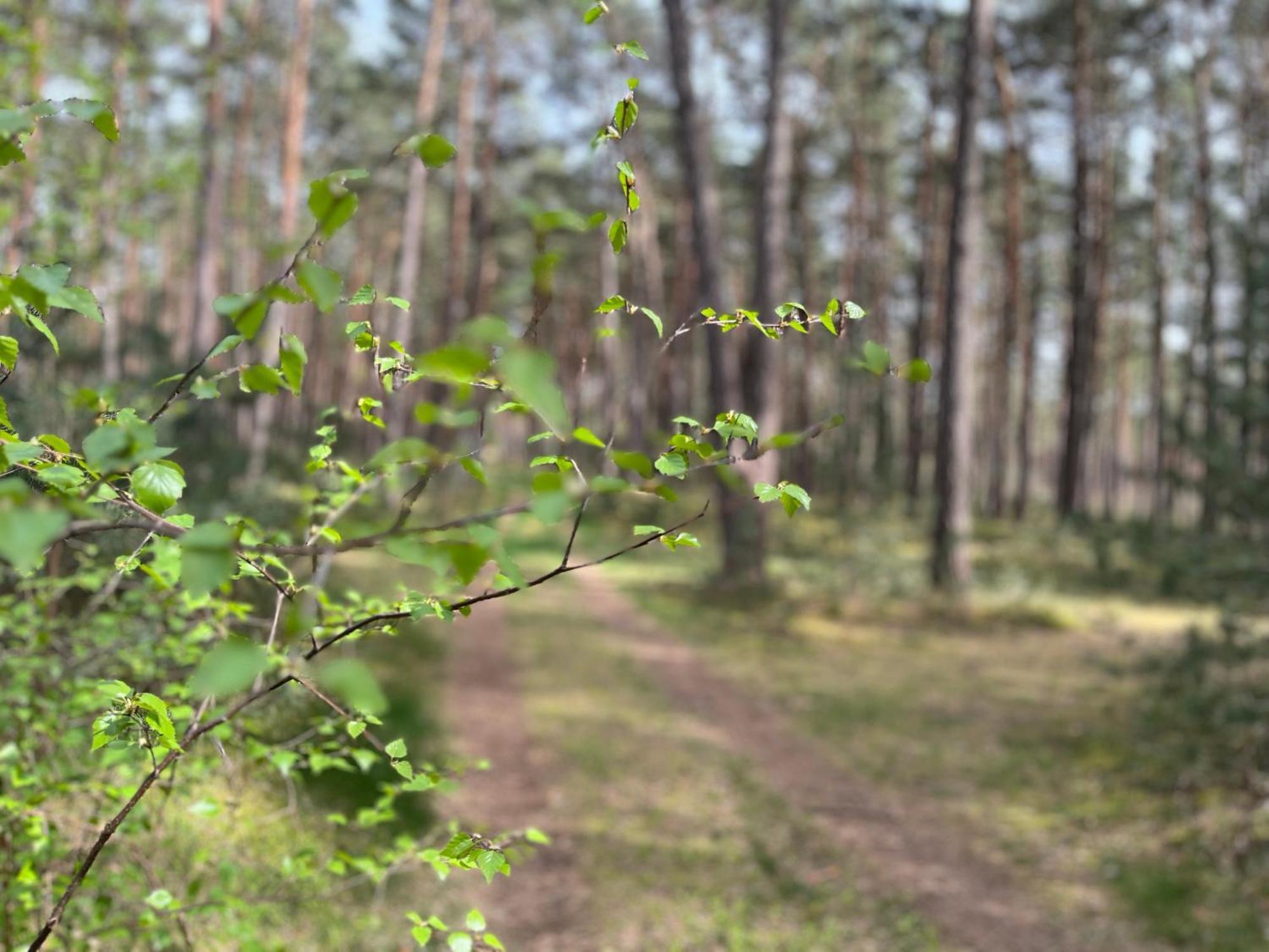 Ferienhaus Fjola Schenkendobern Zewnętrze zdjęcie