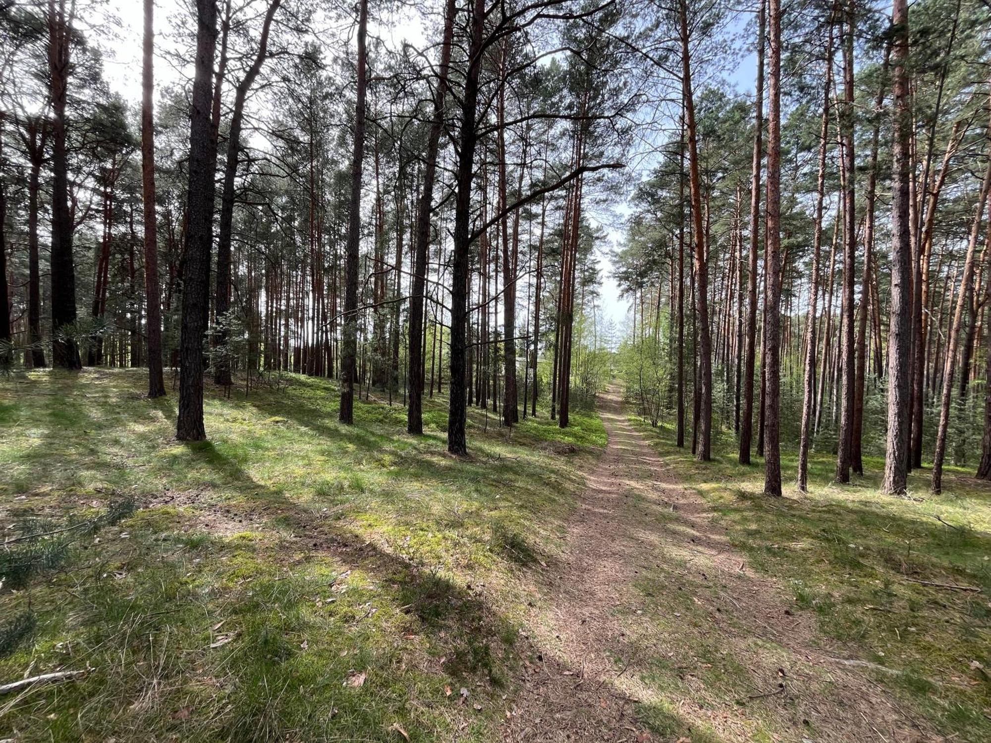 Ferienhaus Fjola Schenkendobern Zewnętrze zdjęcie