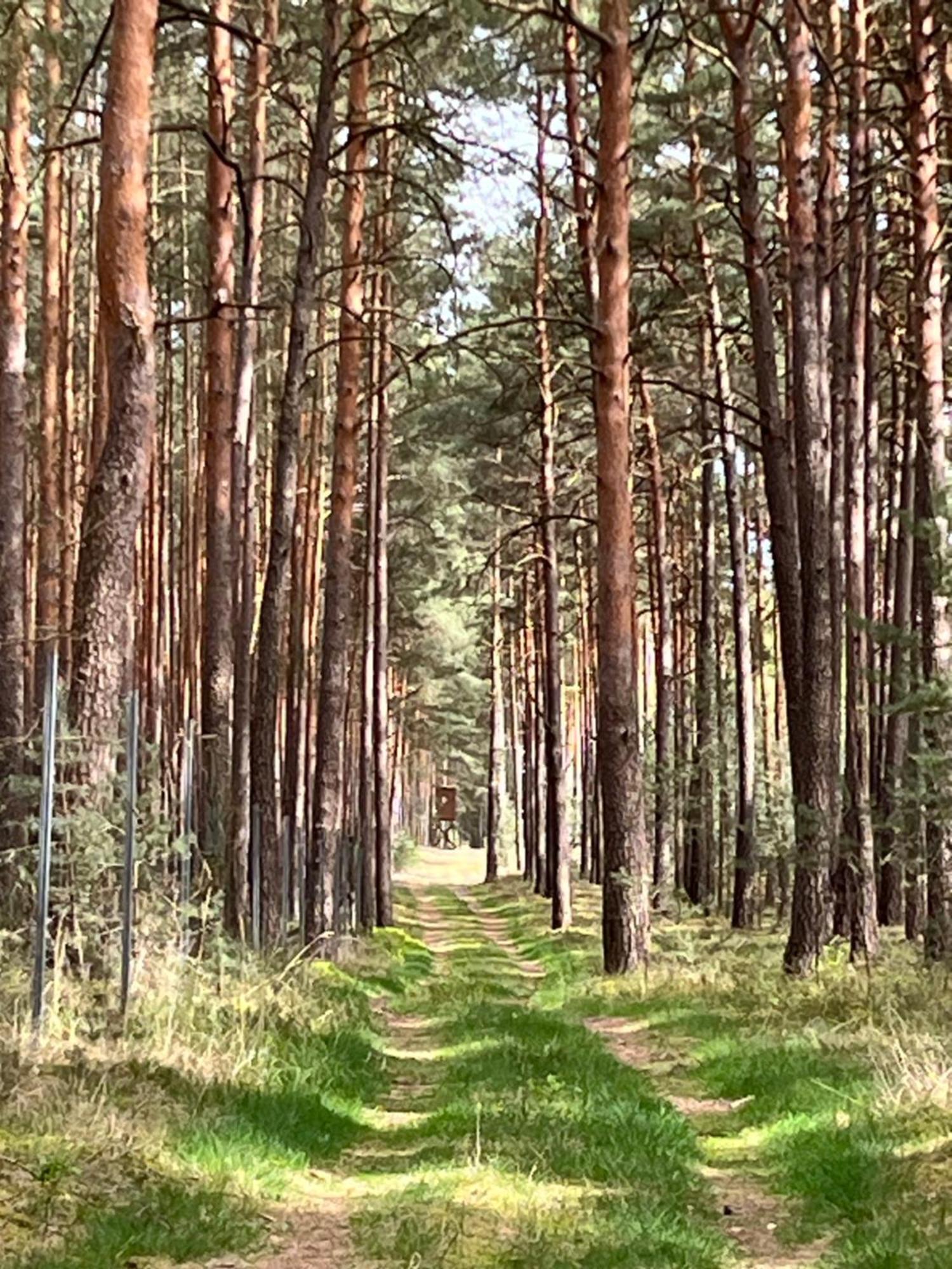 Ferienhaus Fjola Schenkendobern Zewnętrze zdjęcie