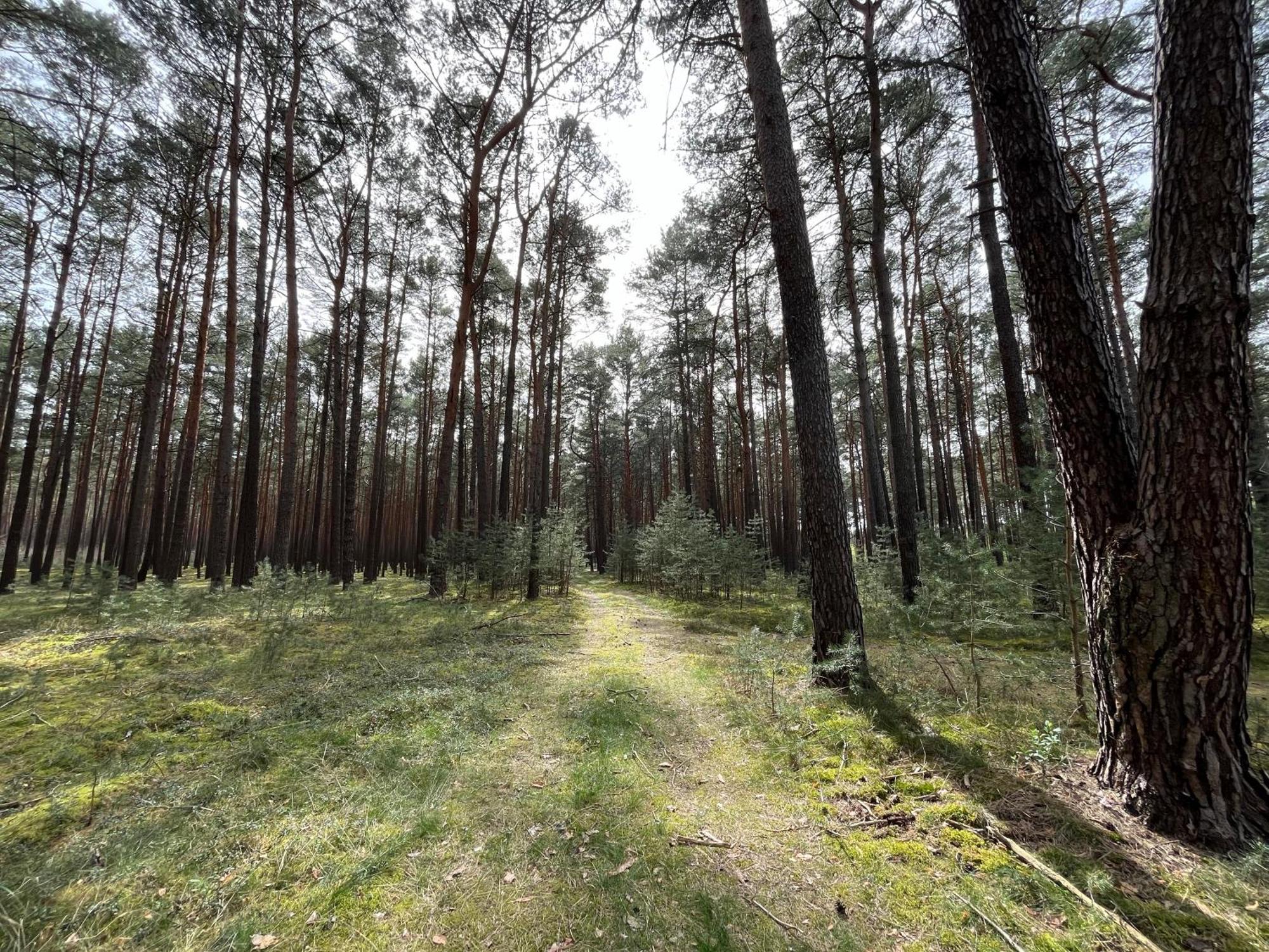 Ferienhaus Fjola Schenkendobern Zewnętrze zdjęcie